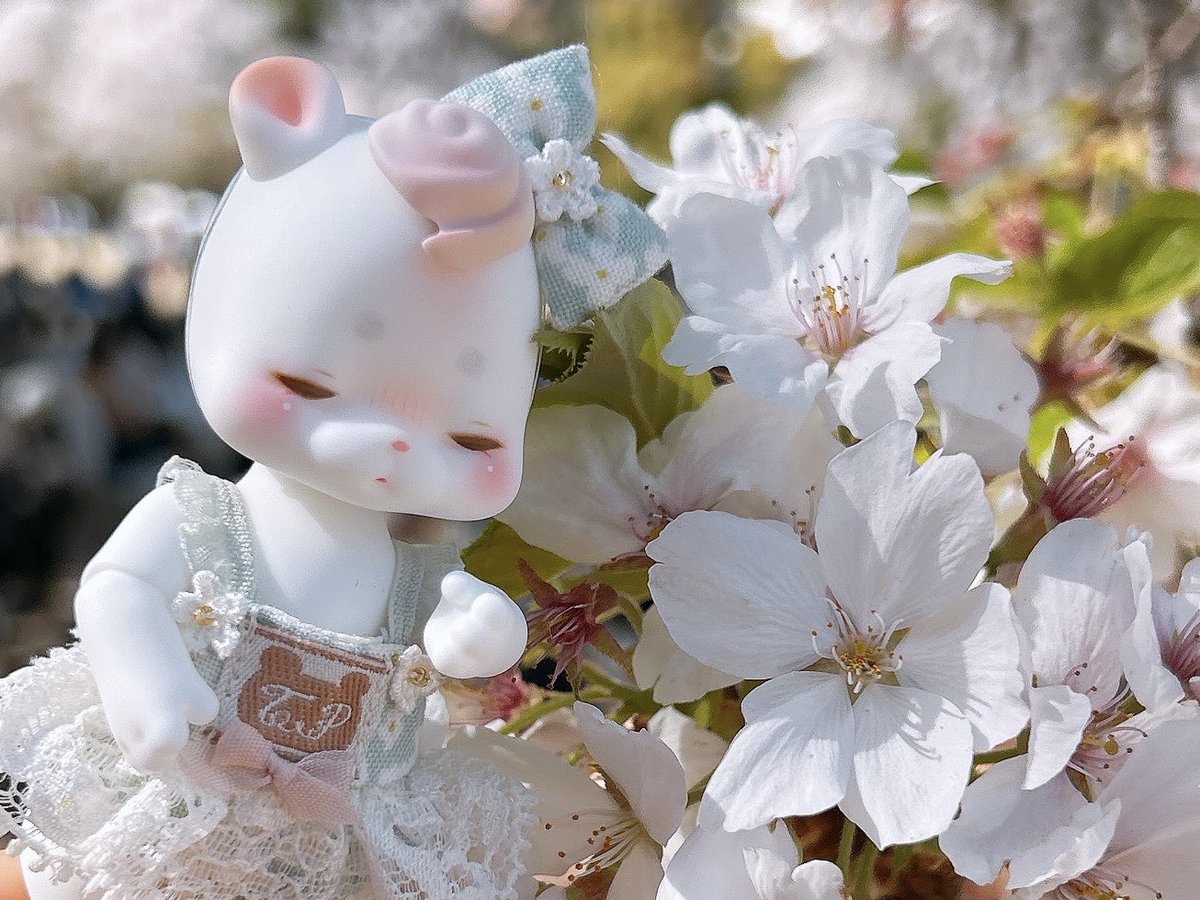 🎀星月りり🧸 tweet media