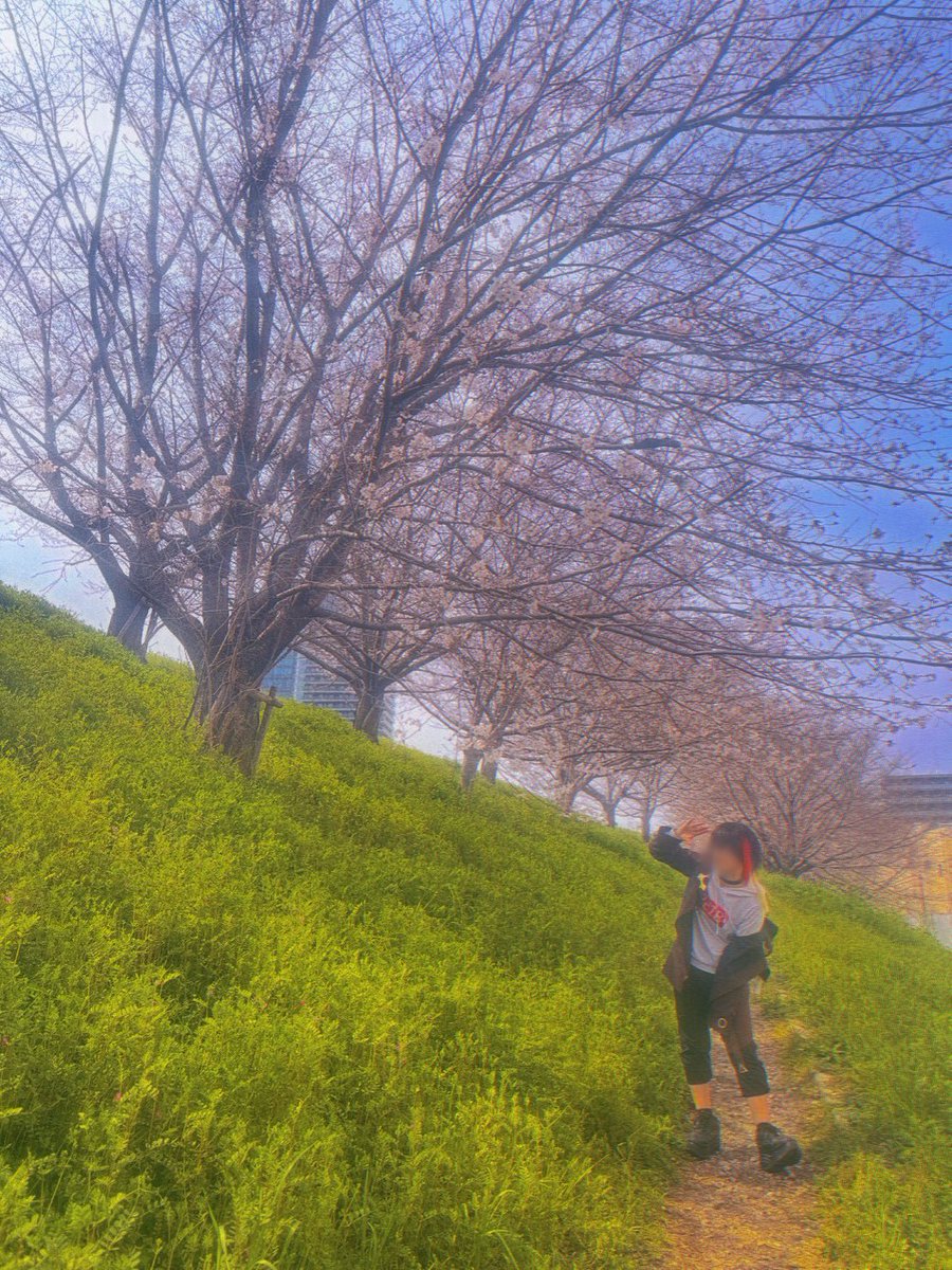 えいど tweet media