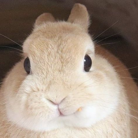 ᴍɪᴜ tweet media