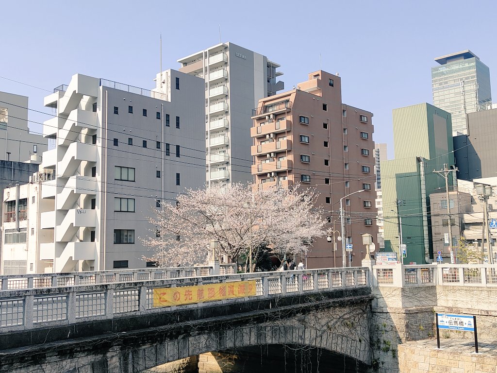 だいちゃんねる tweet media