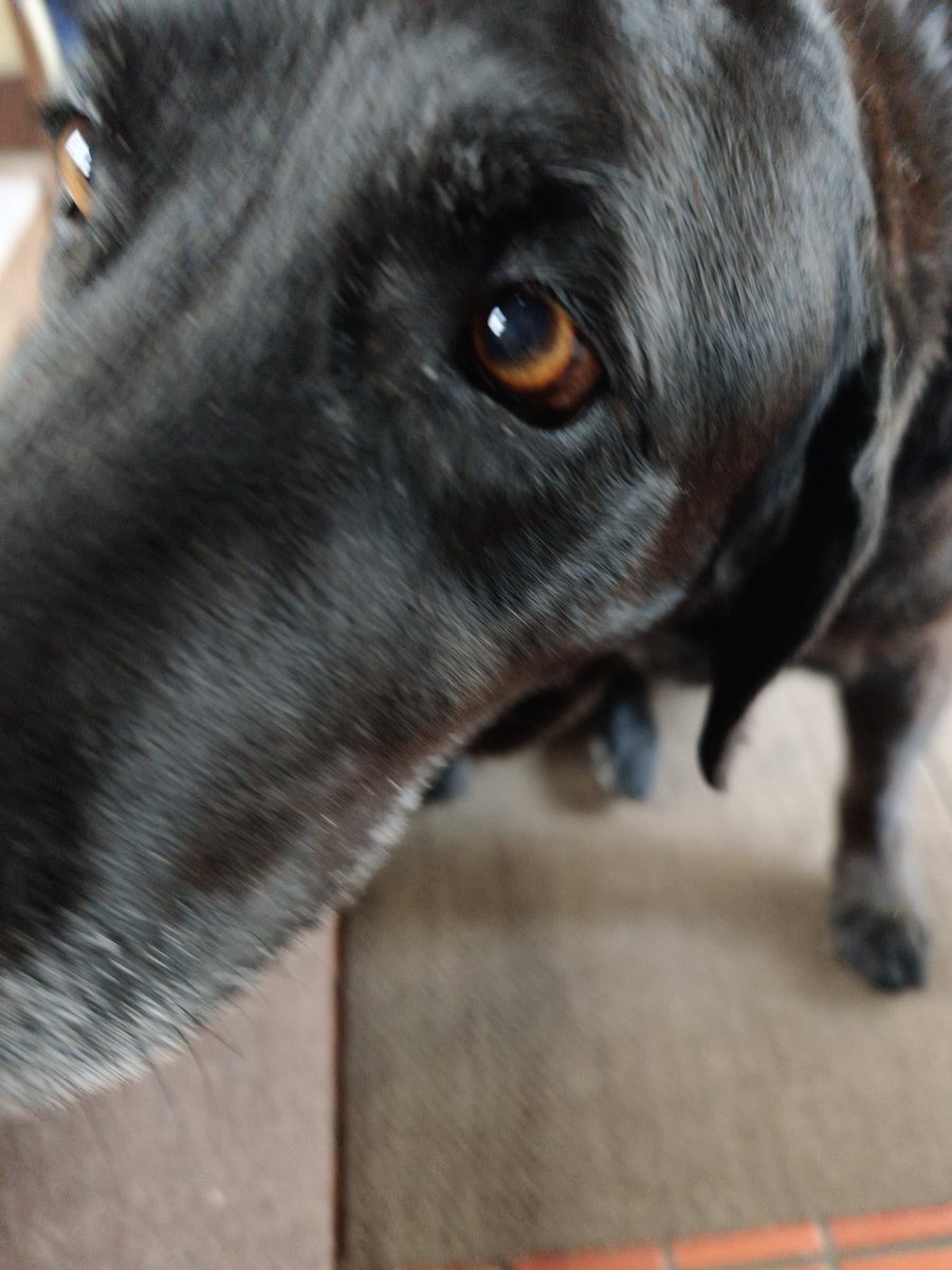 冬馬はる tweet media