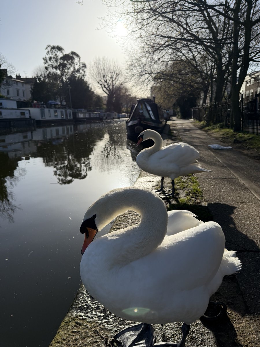 Alastair Hilton tweet media