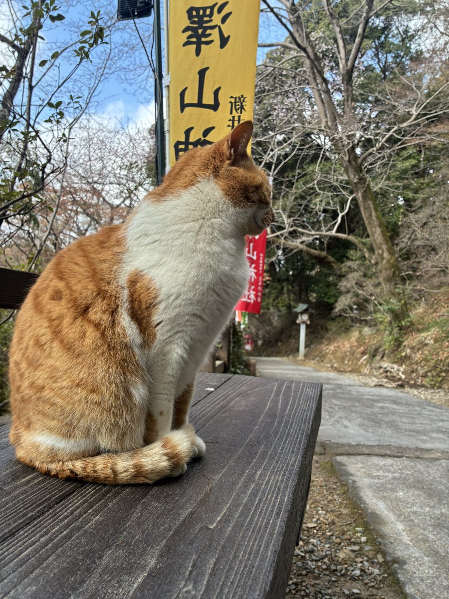 Hanasakasu tweet media
