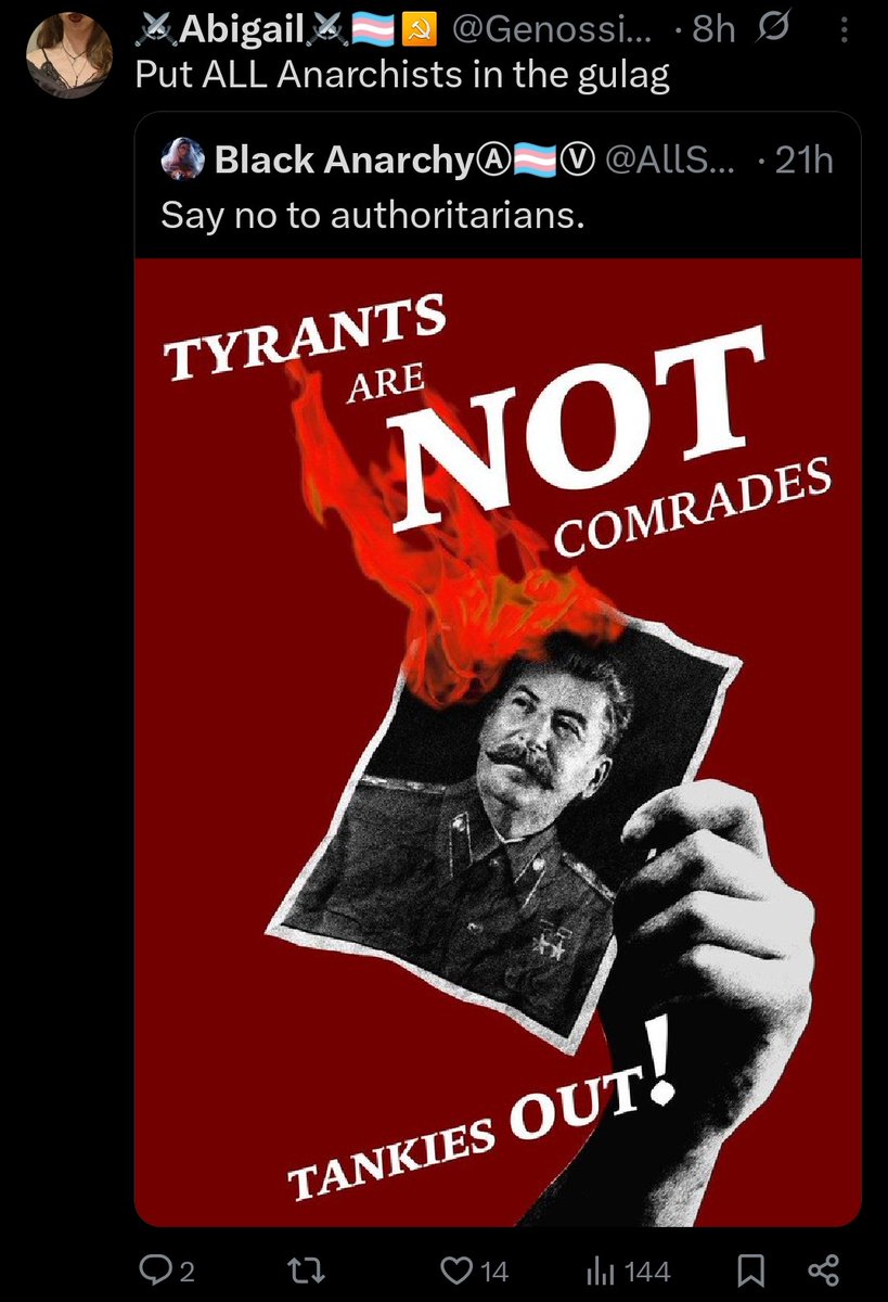 Black AnarchyⒶ🏳️‍⚧️Ⓥ tweet media