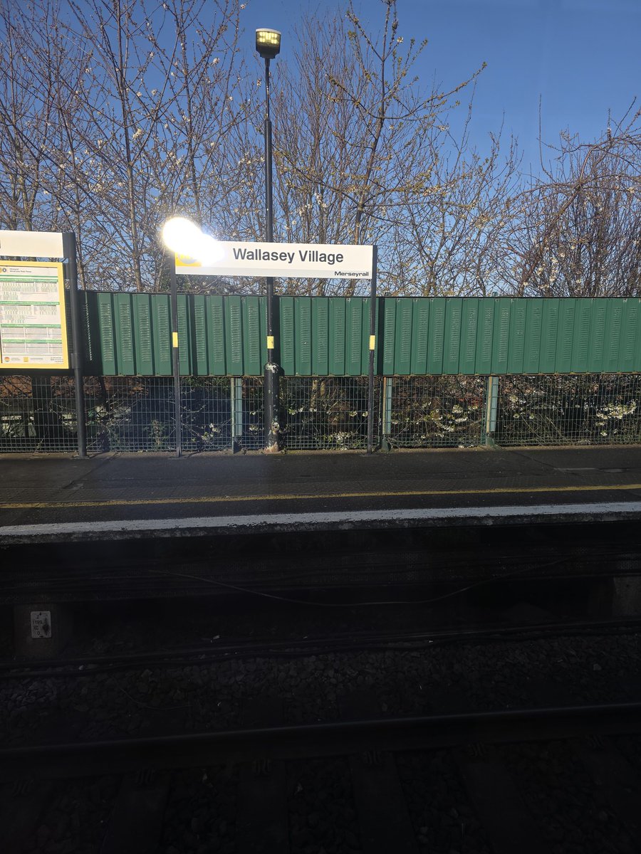 Mark Williams tweet media