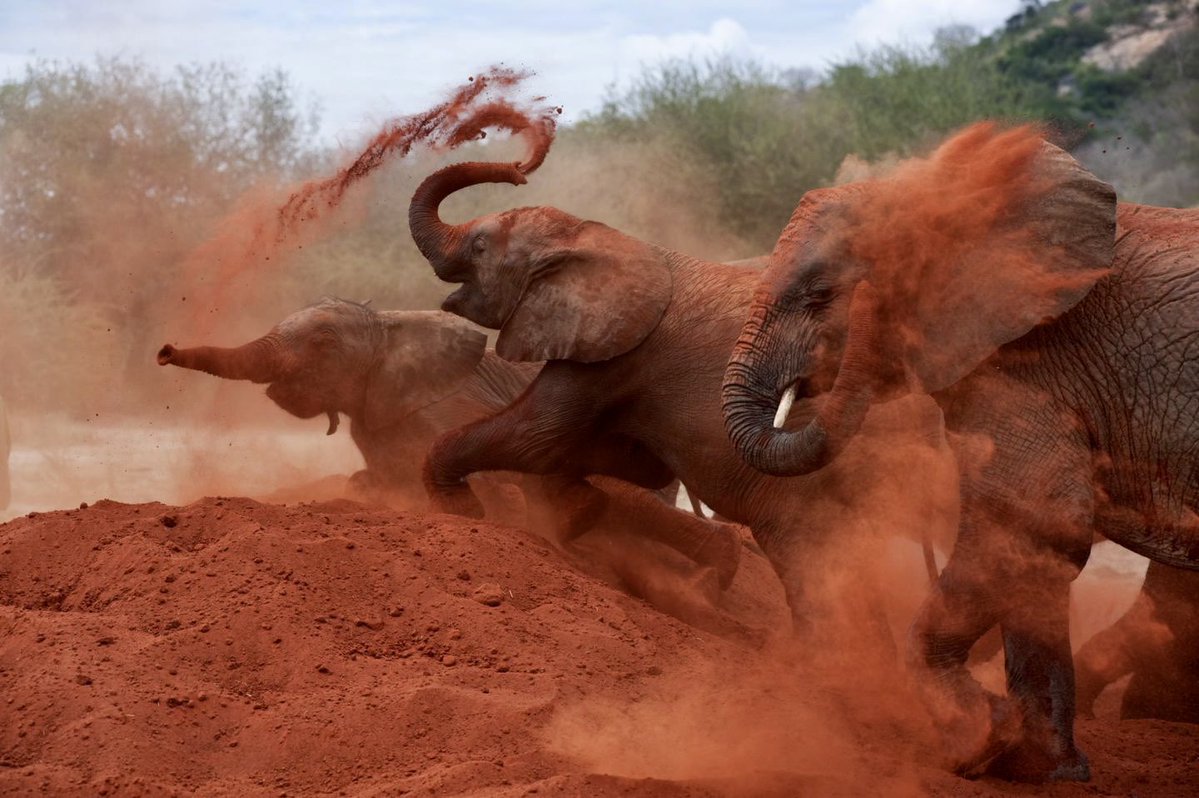 Hannes Kächele tweet media