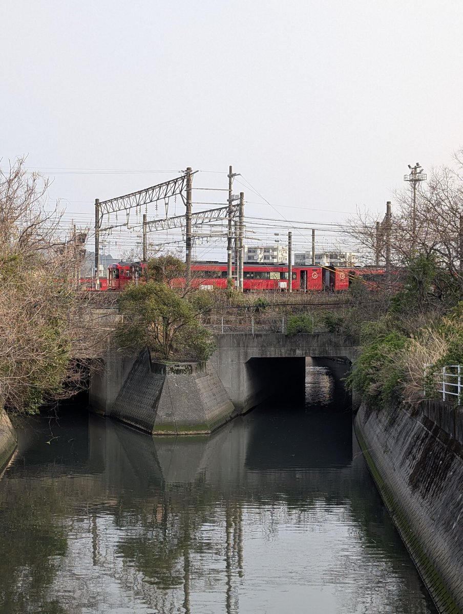 マーおばちゃん tweet media