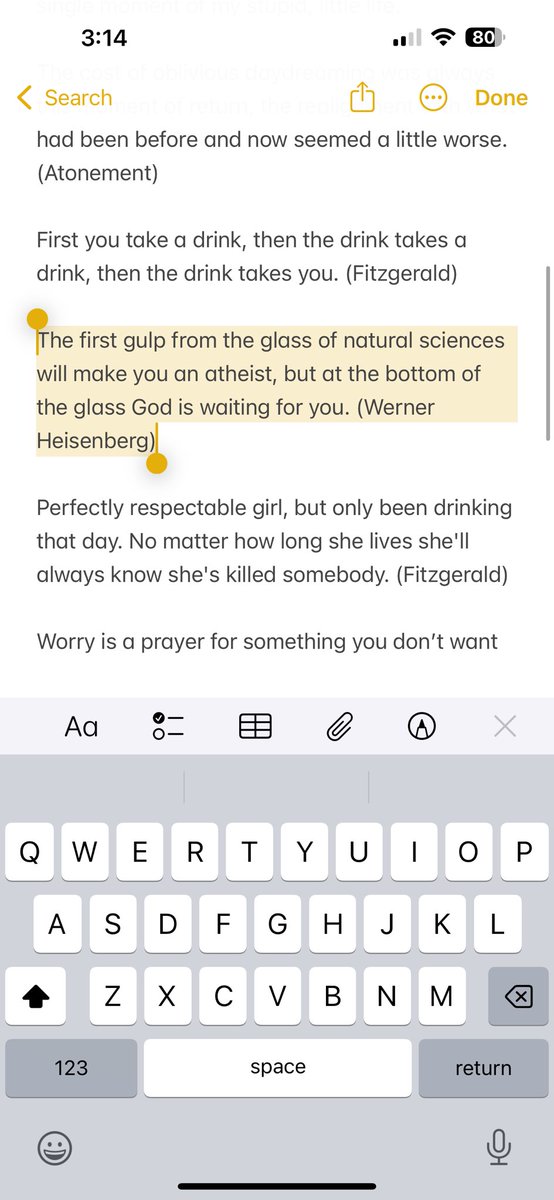 swan (dark and stormy) tweet media