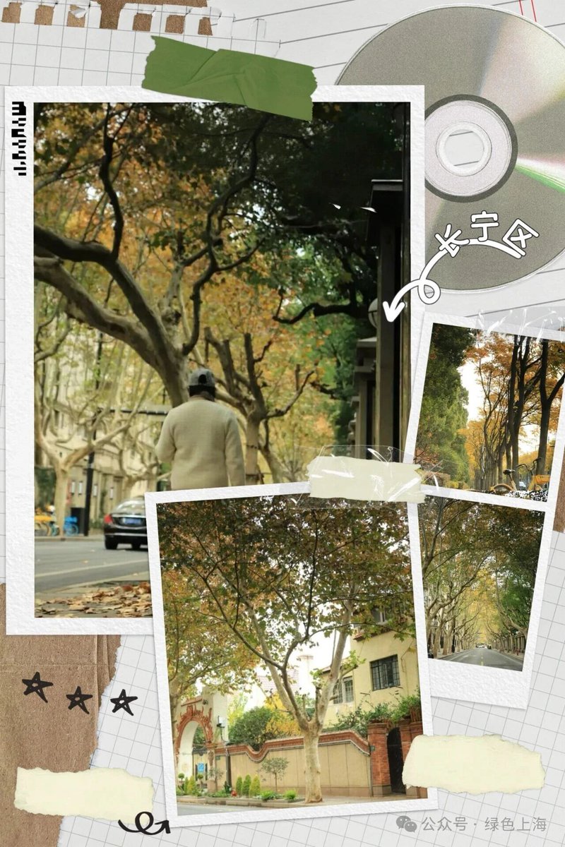 marungu nikodemus tweet media