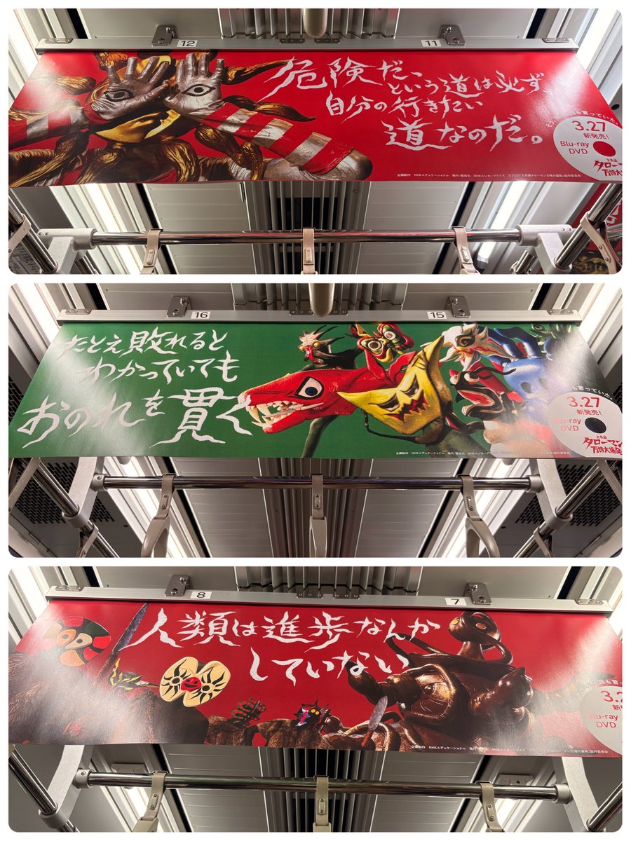 大五郎🫓🧦 tweet media