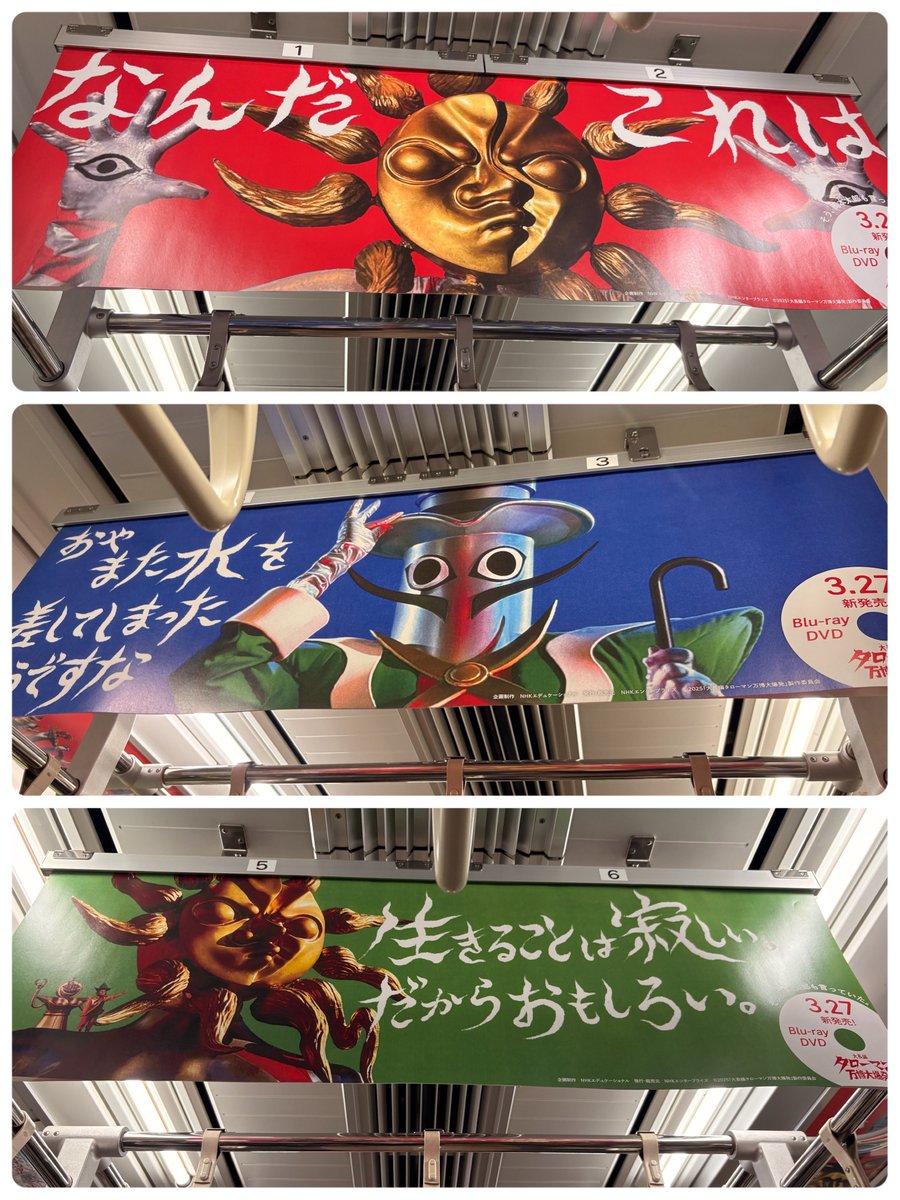 大五郎🫓🧦 tweet media