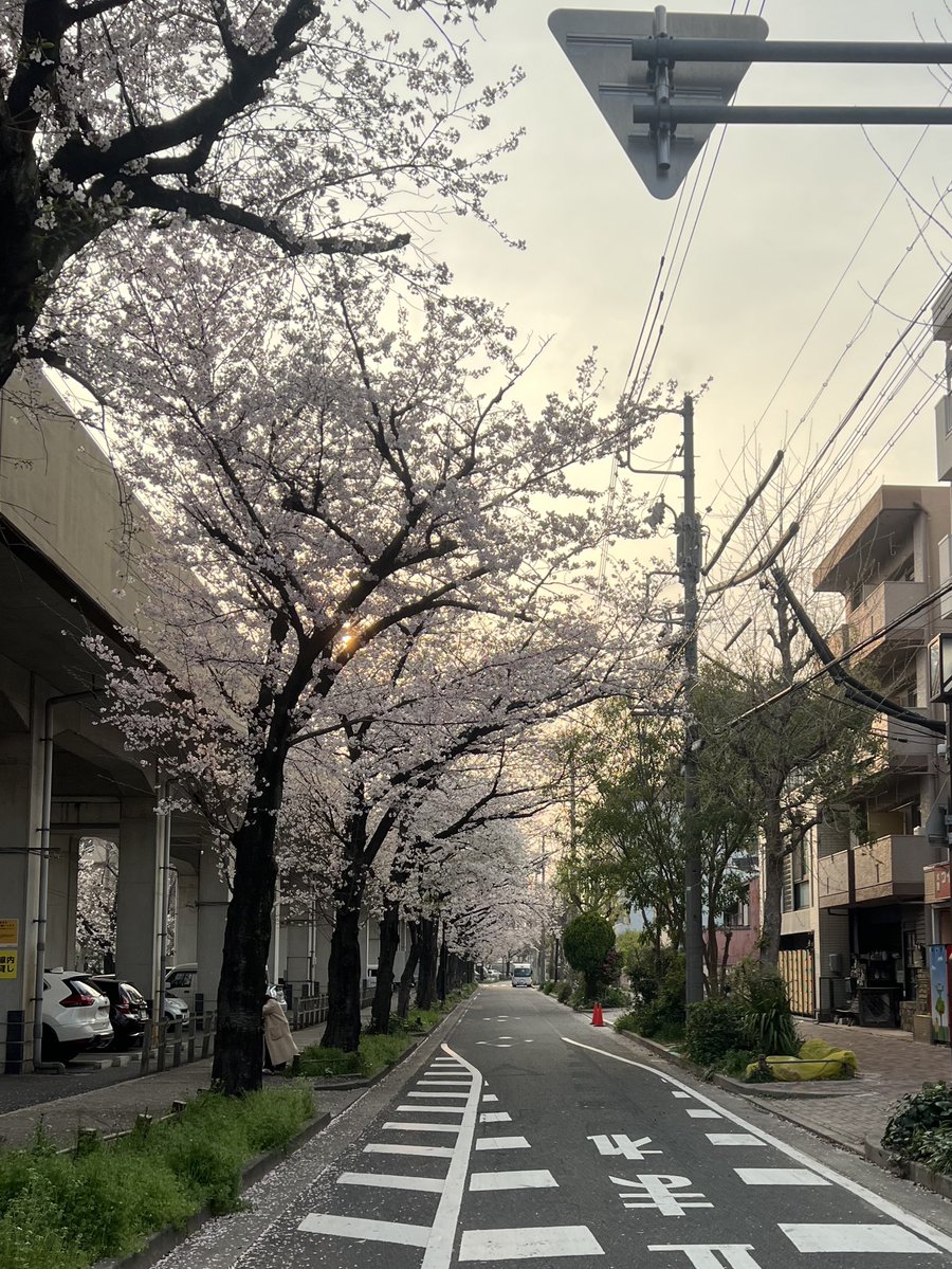 まーず tweet media