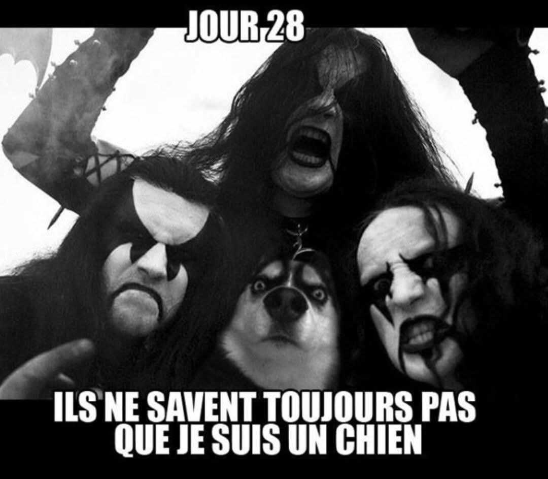 Elise Daycard tweet media