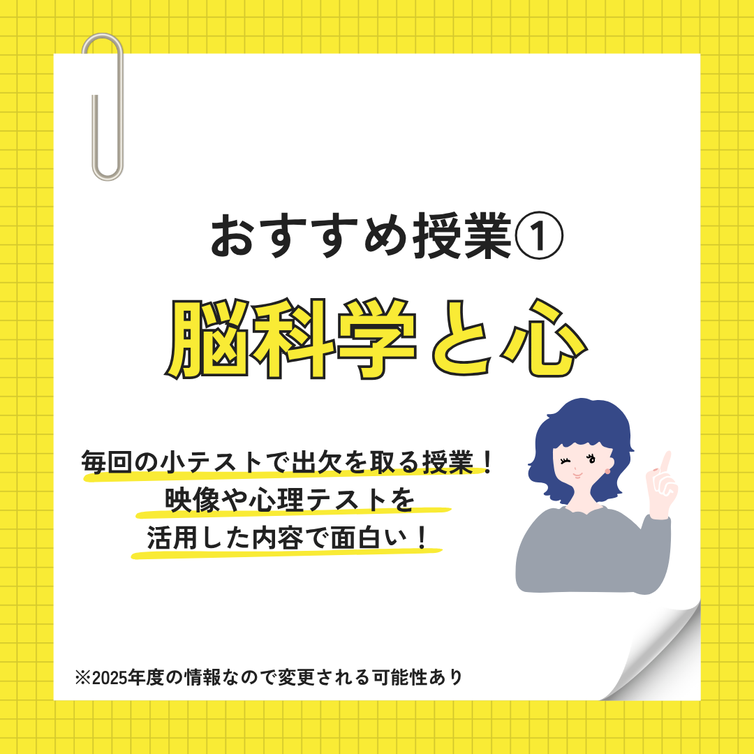 sft_seikei's tweet photo. ／
📣支部員に聞いた！
おすすめの授業3選
＼

1️⃣脳科学と心
毎回の小テストで出欠を取る授業！
映像や心理テストを活用した内容で面白い👀

2️⃣教育心理学
授業参加しただけで褒めてくれる優しい先生！内容も聞き入っちゃう👂

3️⃣日本国憲法
高校の授業と被っているから勉強しやすい！📝

#春から成蹊 https://t.co/JoPajwSjX2