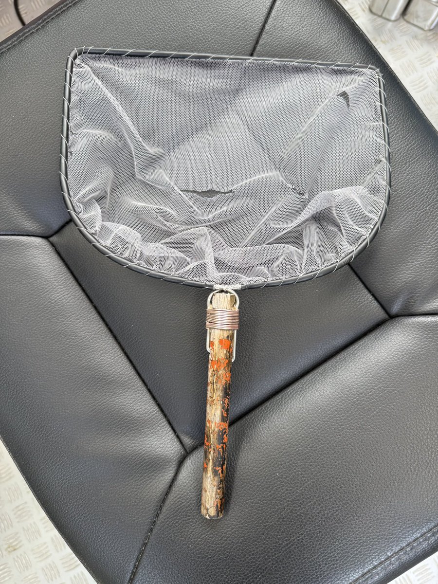 いちろ(･᷄ὢ･᷅ э )Э tweet media