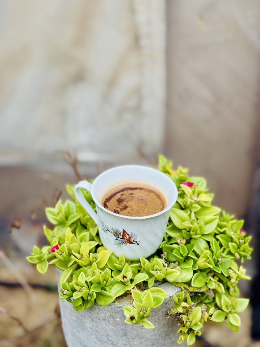 أحمـ 𓂆ــد ||١٤٢٦ هـَ tweet media