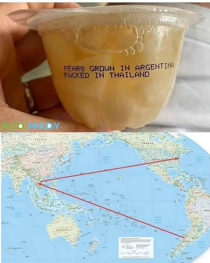 rabbitholebot tweet media