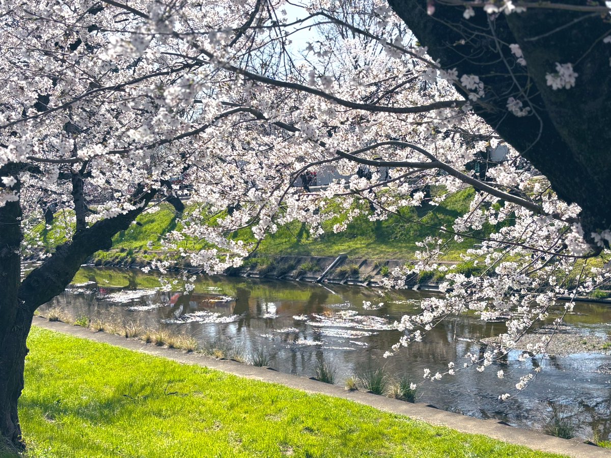 たかまー tweet media