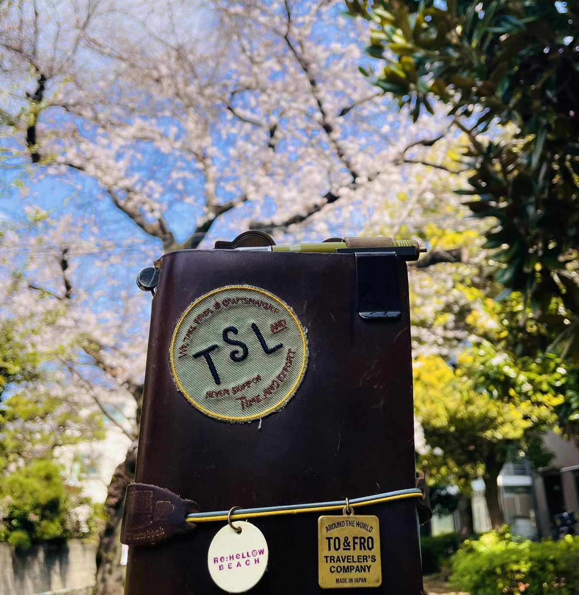 T'n'R…。 tweet media