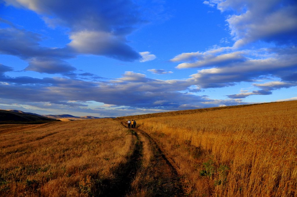 Celalettin Güneş tweet media