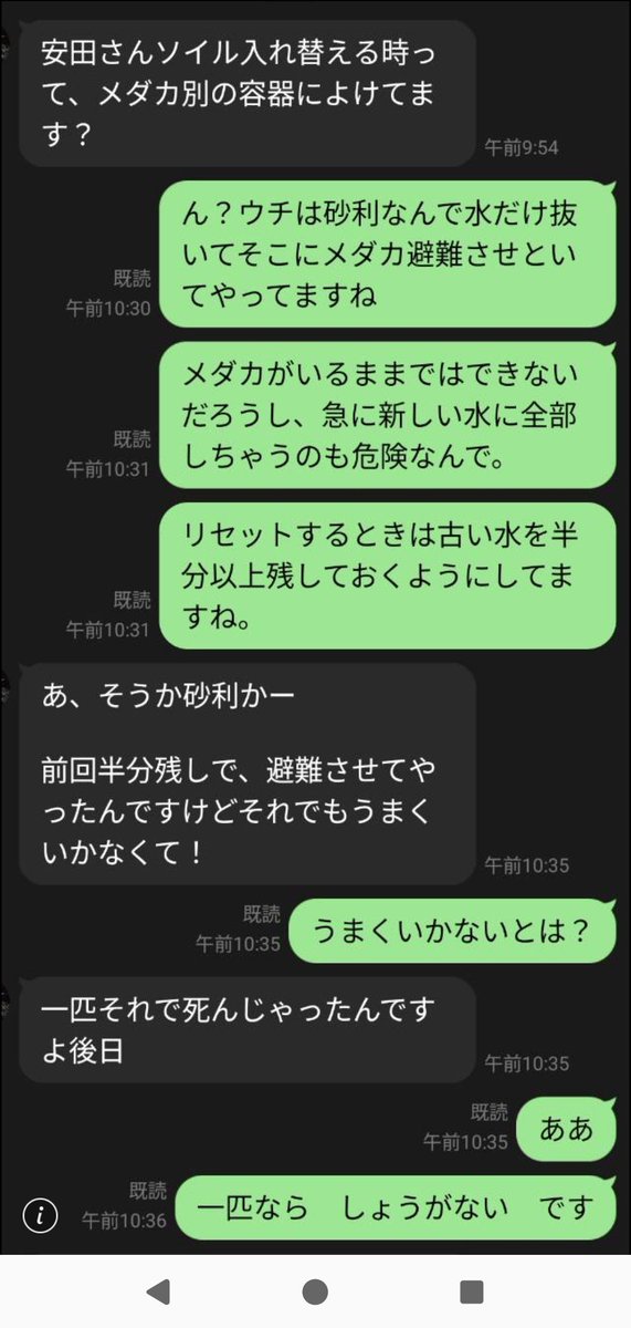 安田弘之 tweet media