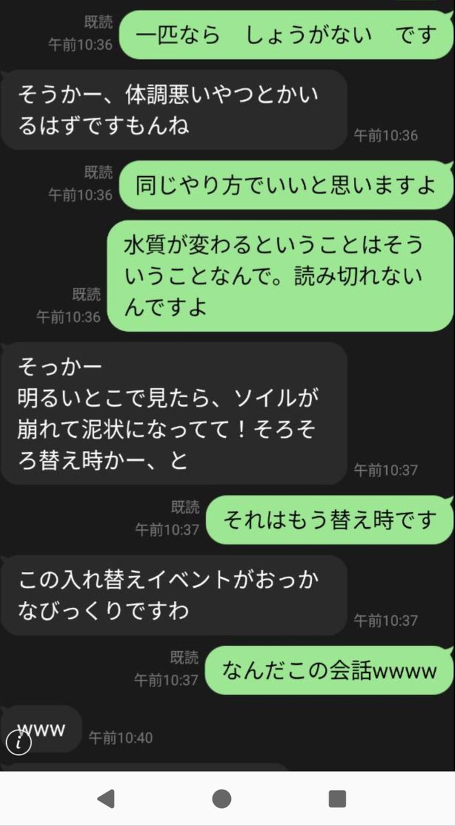 安田弘之 tweet media