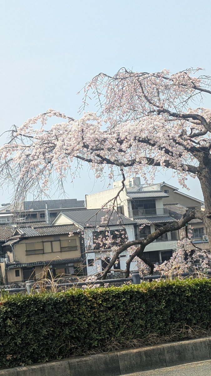 鈴鹿 秋斗 / 夜の本気ダンス tweet media