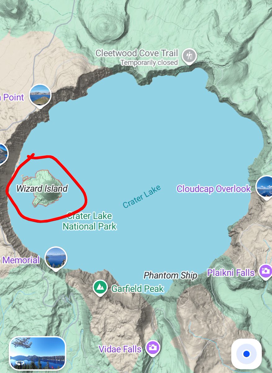 Allison the human tweet media