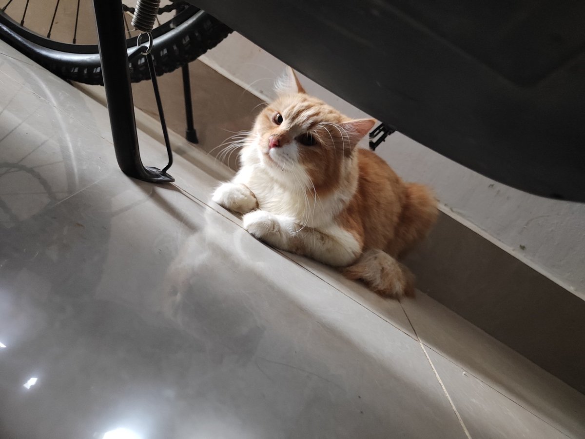 Dila🌷 tweet media