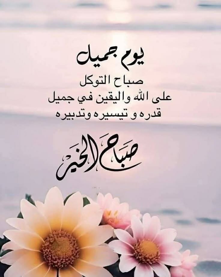 Mohamed El Rouby tweet media