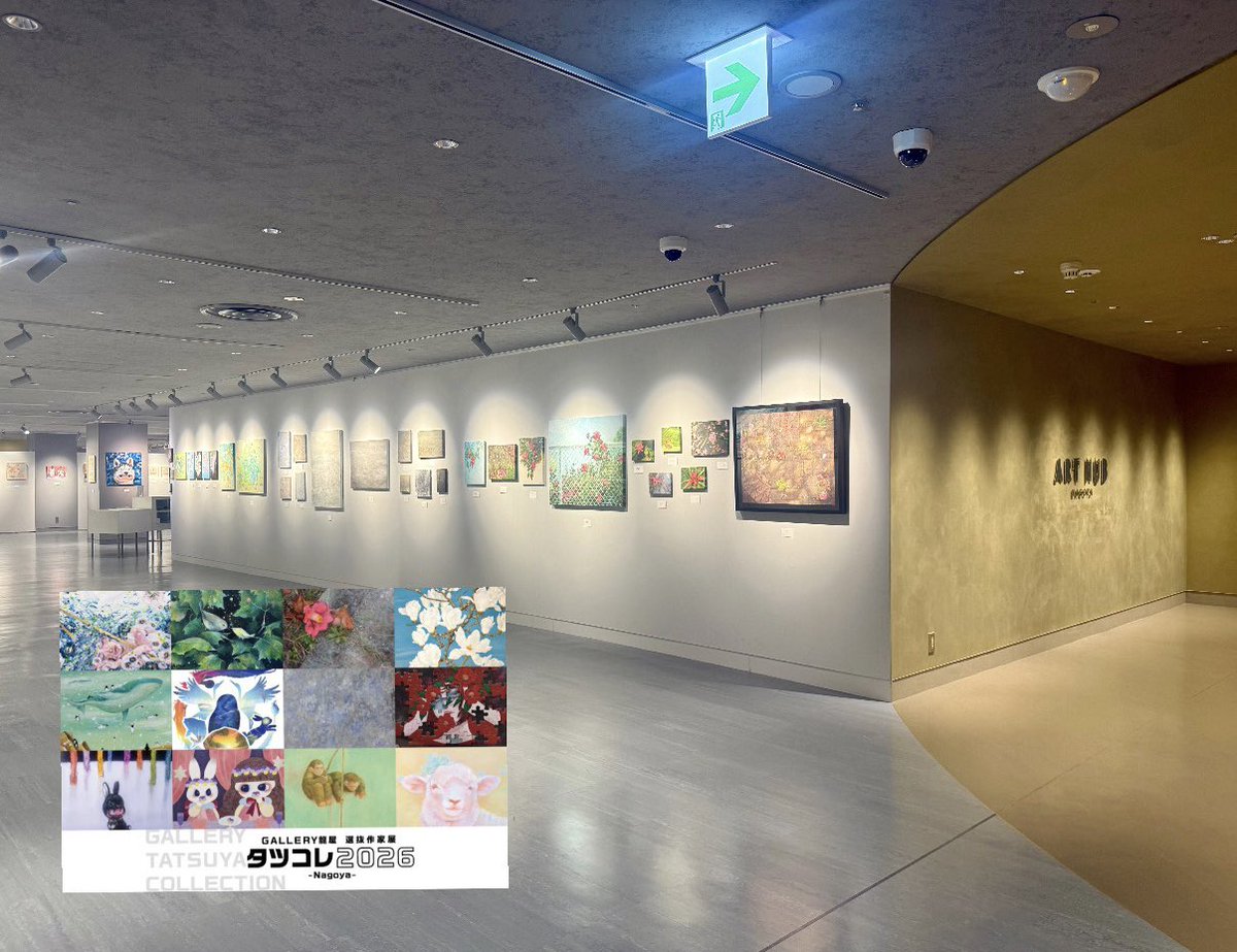 KAISO☁️ tweet media