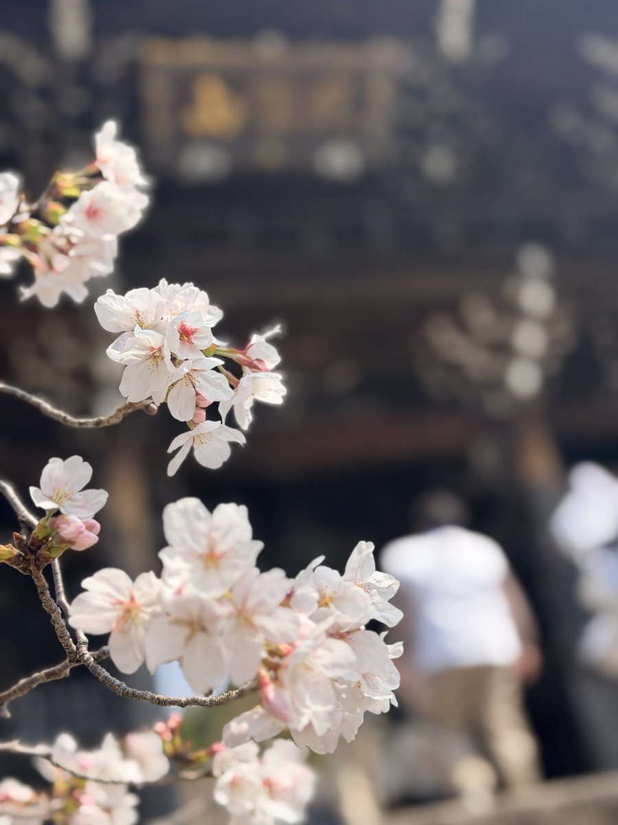 高野山真言宗　大師教会慈光月灯り支部 tweet media