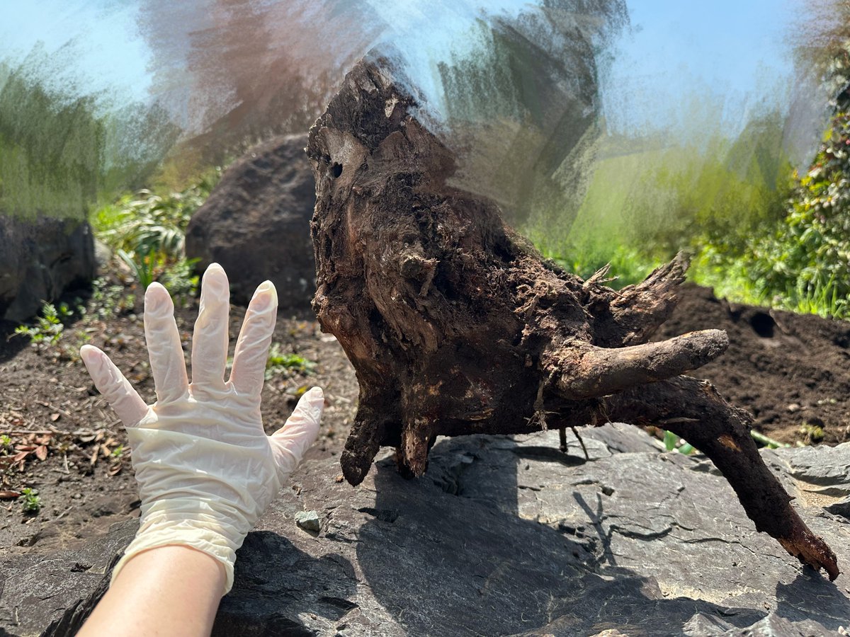 🌞えいと🌞AJ29日 tweet media