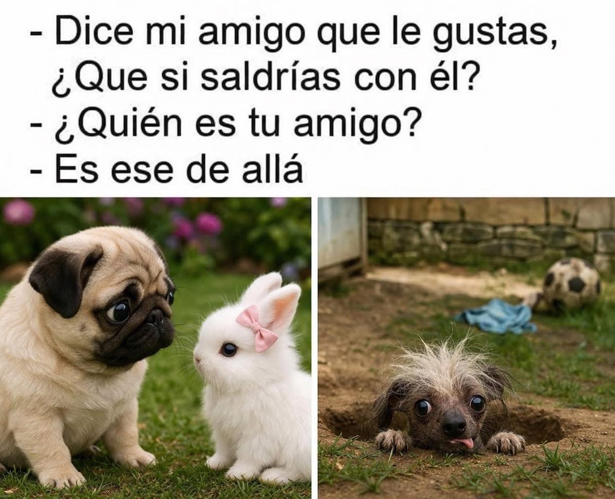 Pasa, jajajajaja 🐱