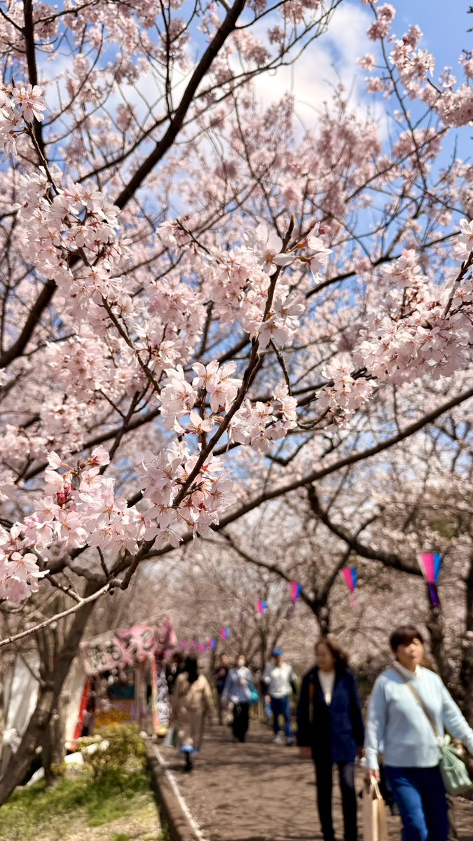 もえ | SNS運用×インバウンド集客 tweet media