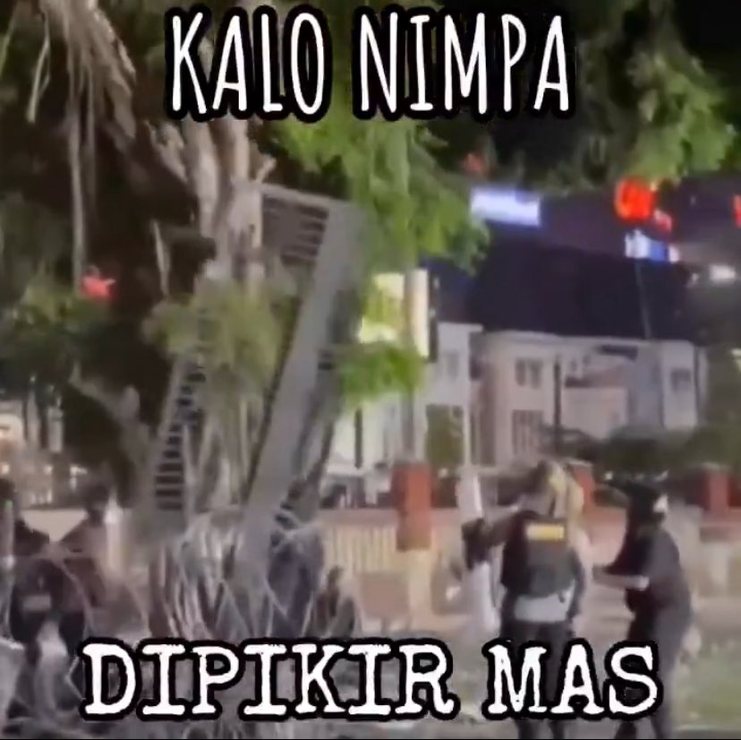 Insomniac! tweet media