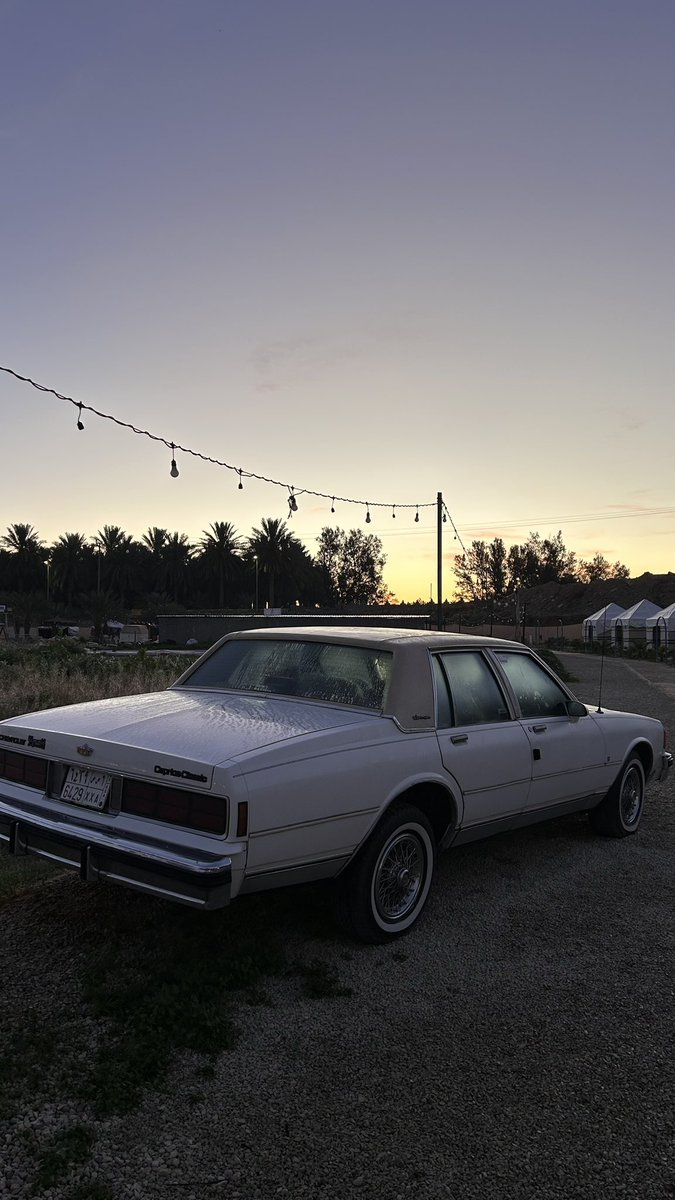 ريـا tweet media