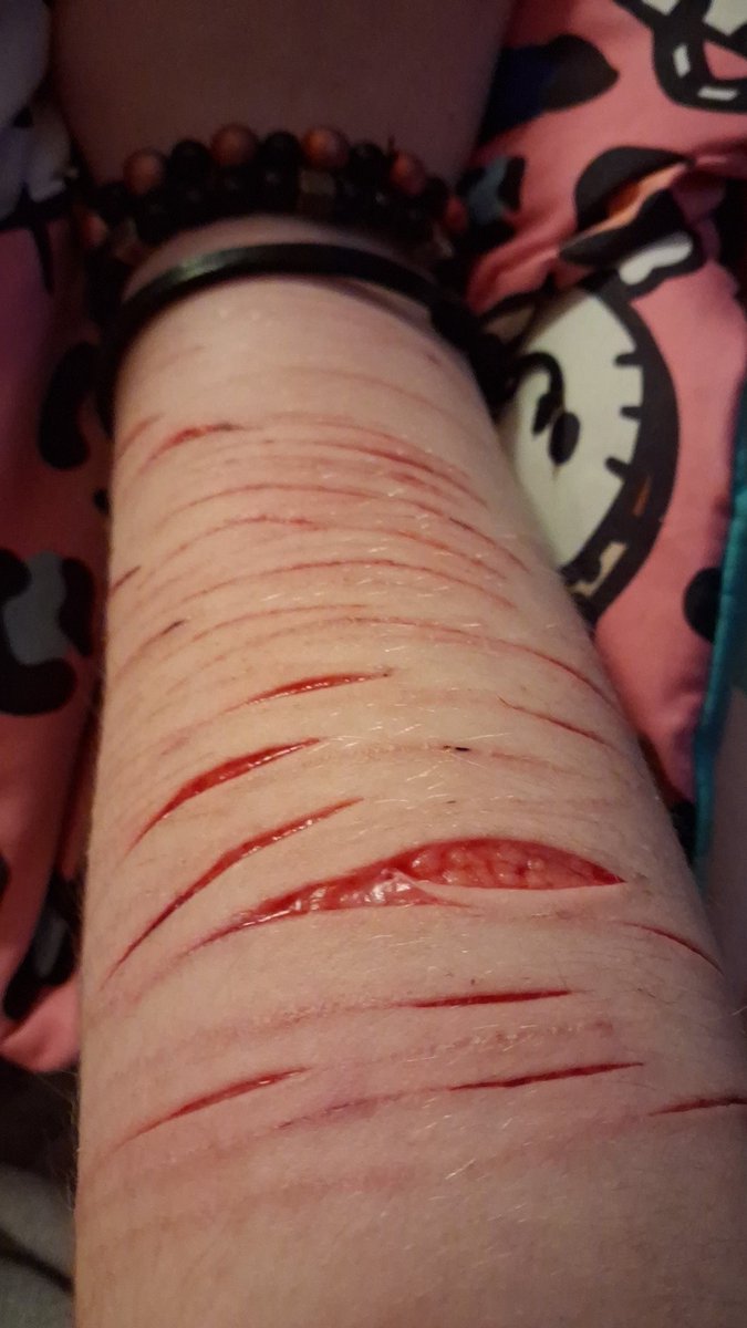 Mimi (。･´д`･。) tweet media