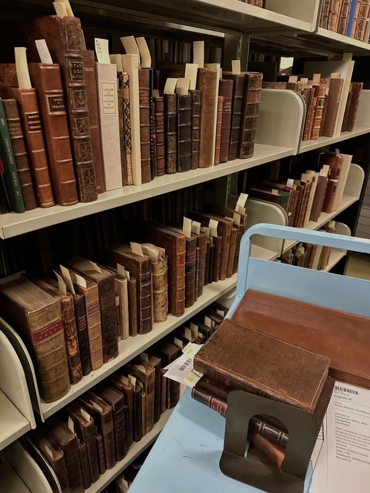 Mike Hanlon tweet media