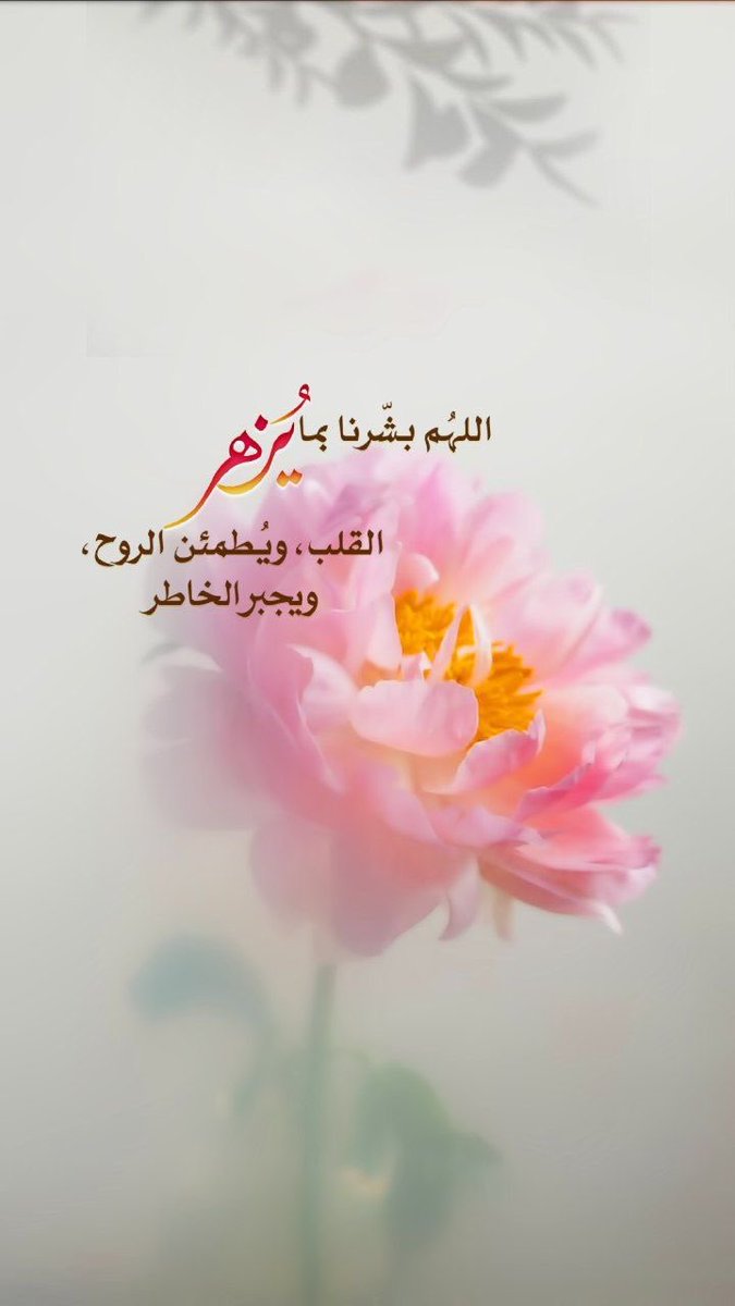 بـــــﺢـر آلْـشـۈقـ ᥫ᭡ tweet media