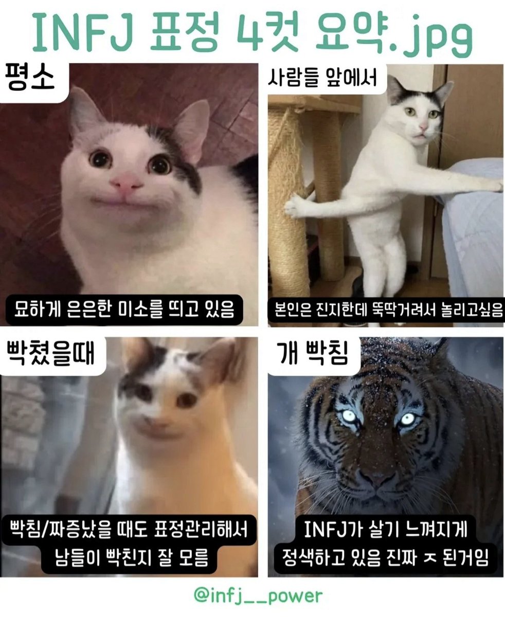 INFJ__POWER's tweet photo. INFJ 표정 4컷🙂😳😠👹 https://t.co/CLG5Q68ygD