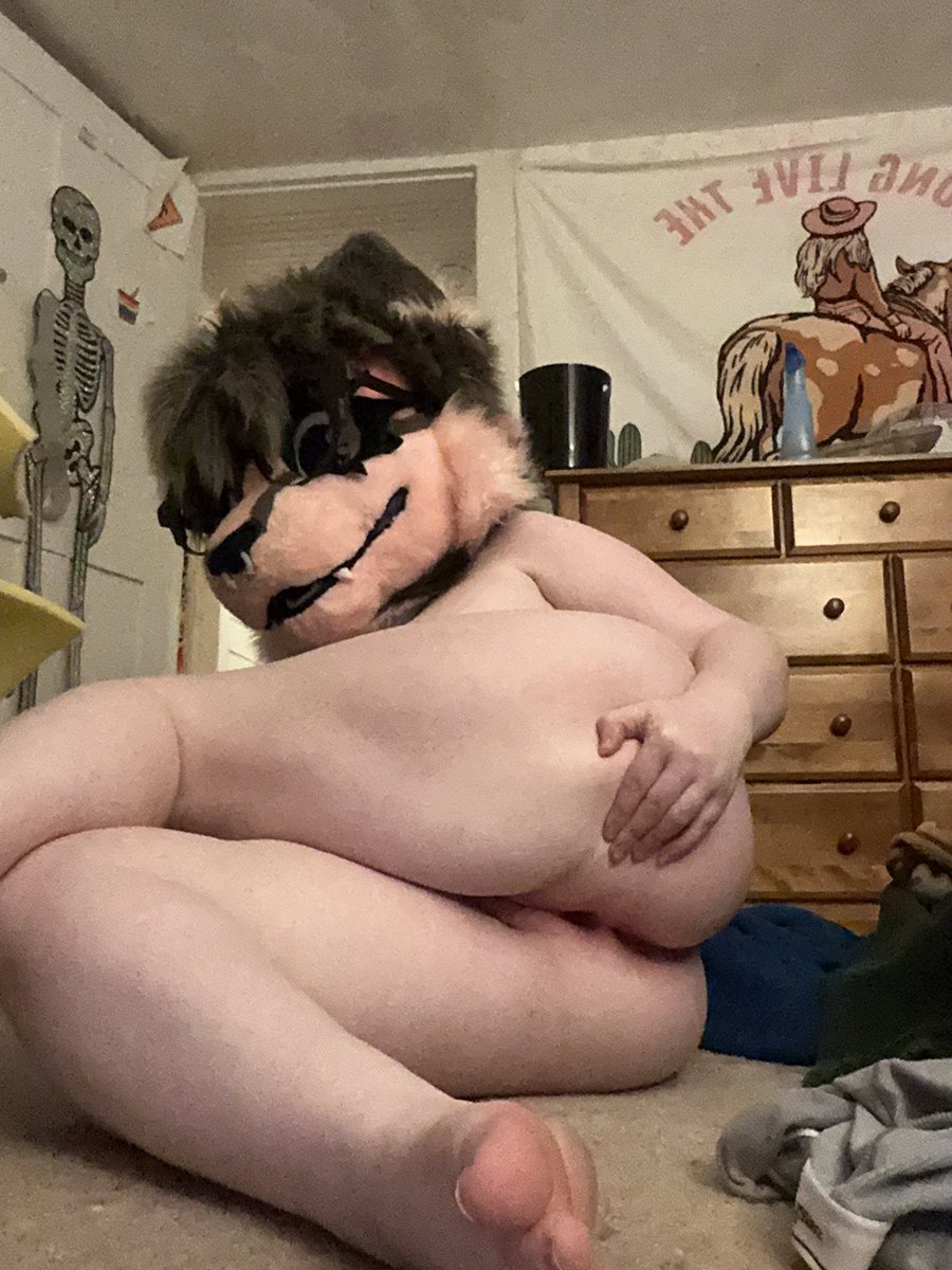 Angel (furcationland) tweet media