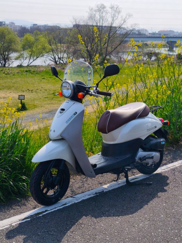 kaveve's tweet photo. 菜の花
#Today
#AF67
#HONDA https://t.co/QiWiCu9w8y