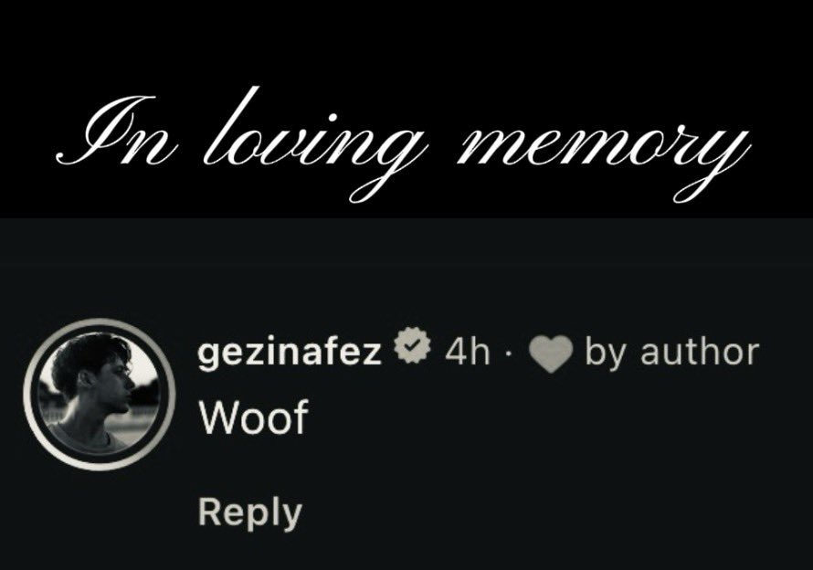 edd ☆ pitt spoilers tweet media