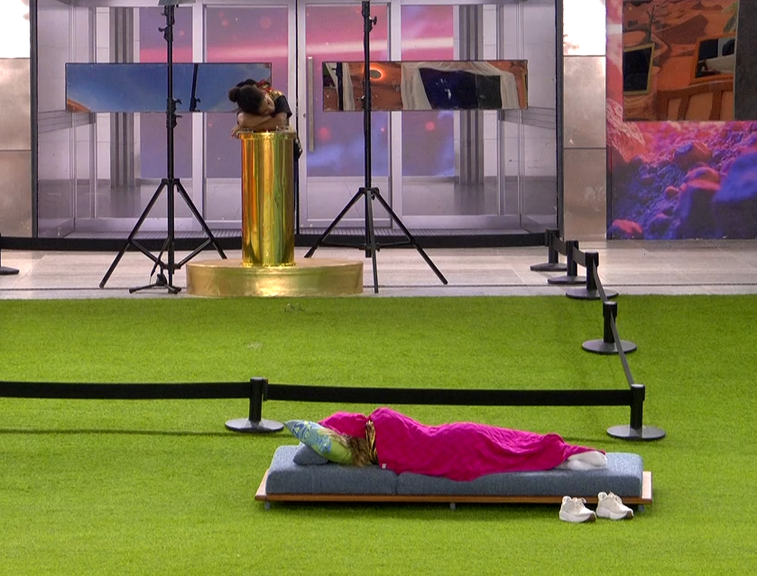 Zuri 🦊 tweet media