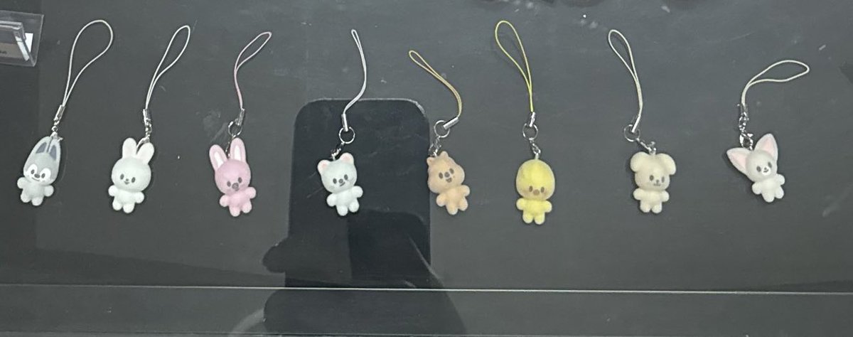 skzoo secret mini charm the 6th fanmeeting 'stay in our little