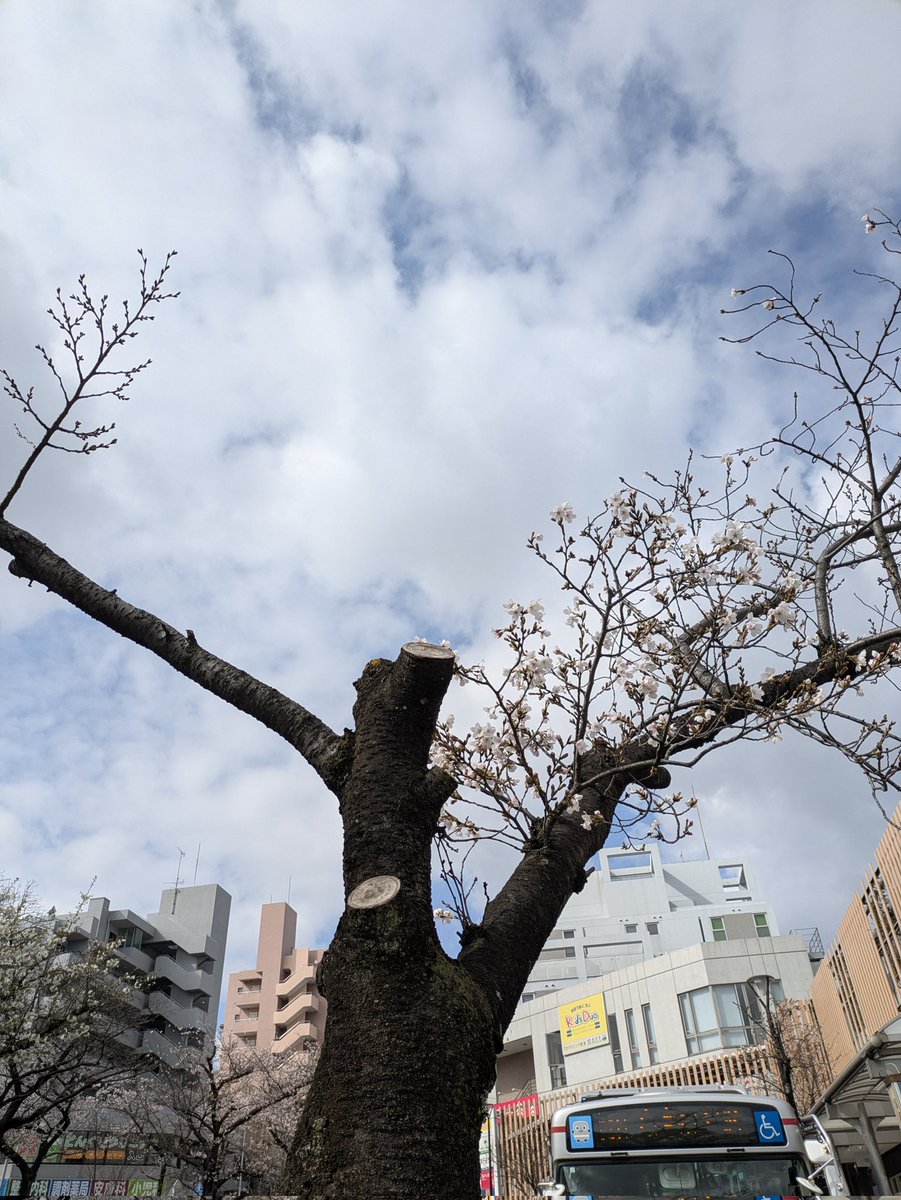 あじじ tweet media