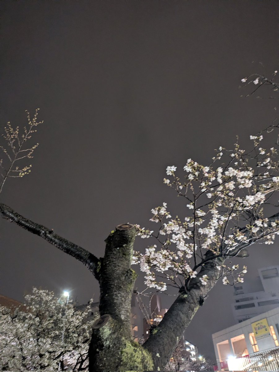 あじじ tweet media