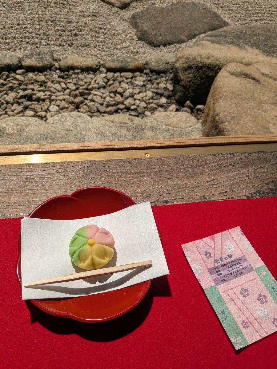 shiroto1's tweet photo. ぶらり散歩してお茶会参加からの菜の花鑑賞。春の優雅なひととき。
#一茶双樹記念館　#野点　#菜の花 https://t.co/Aq0DGNJaVX