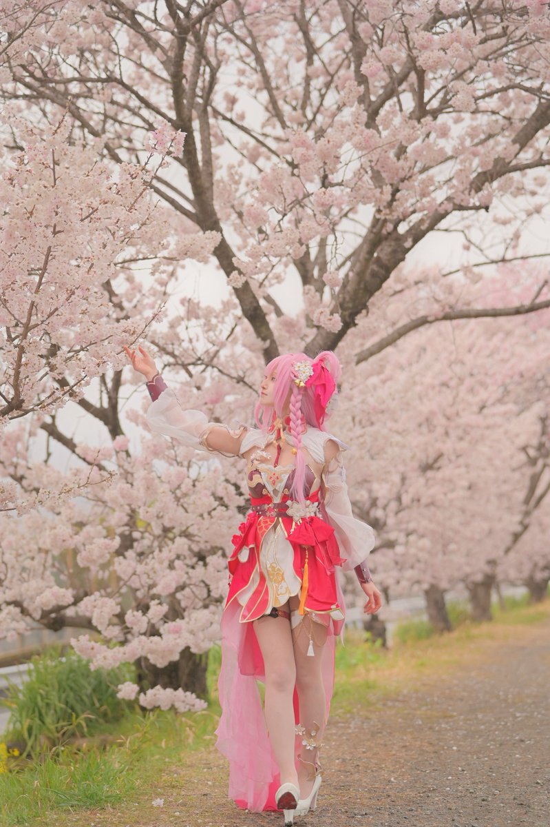 乃ノ野 tweet media